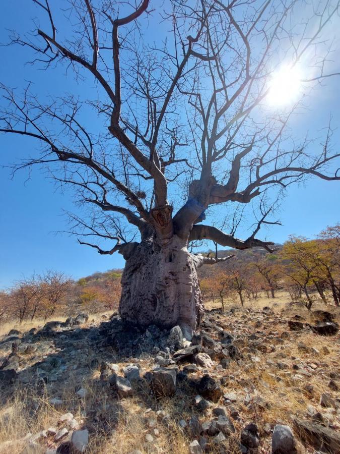 Opuwo Country Lodge エクステリア 写真
